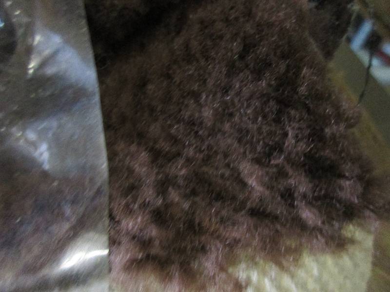 5x8 bath carpet