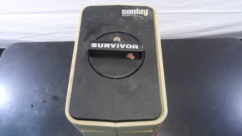 Sentry Survivor Safe