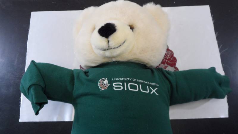 Fighting Sioux Teddy Bear
