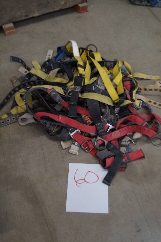 Safety Harnesses