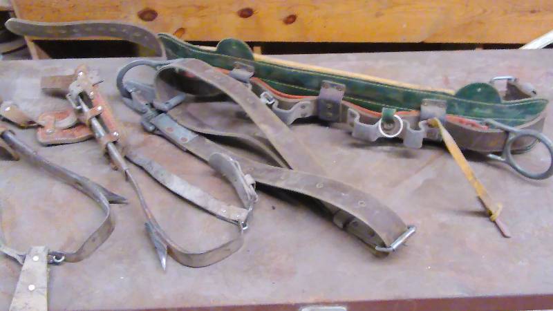 lot 20 image: Safety Belt and Leg Straps