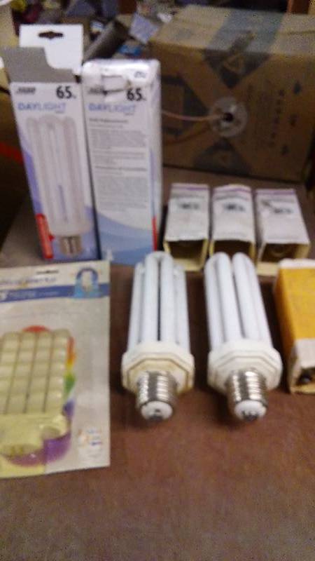 lot 146 image: Daylight bulb Use 65w equipped for mogul Base (4) and more