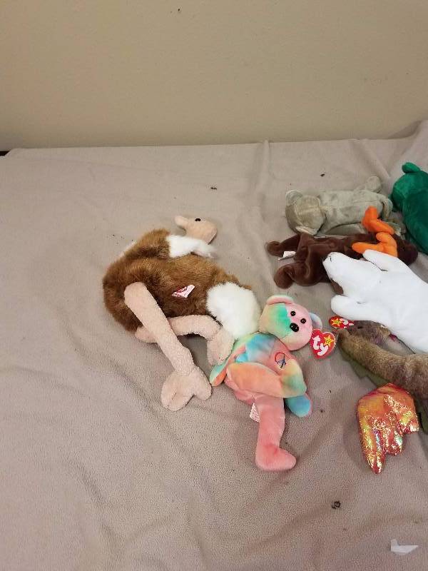 #2 Mixed Bag of Beanie Babies