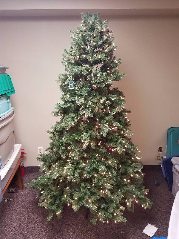 7 Ft Christmas Tree - Lighted