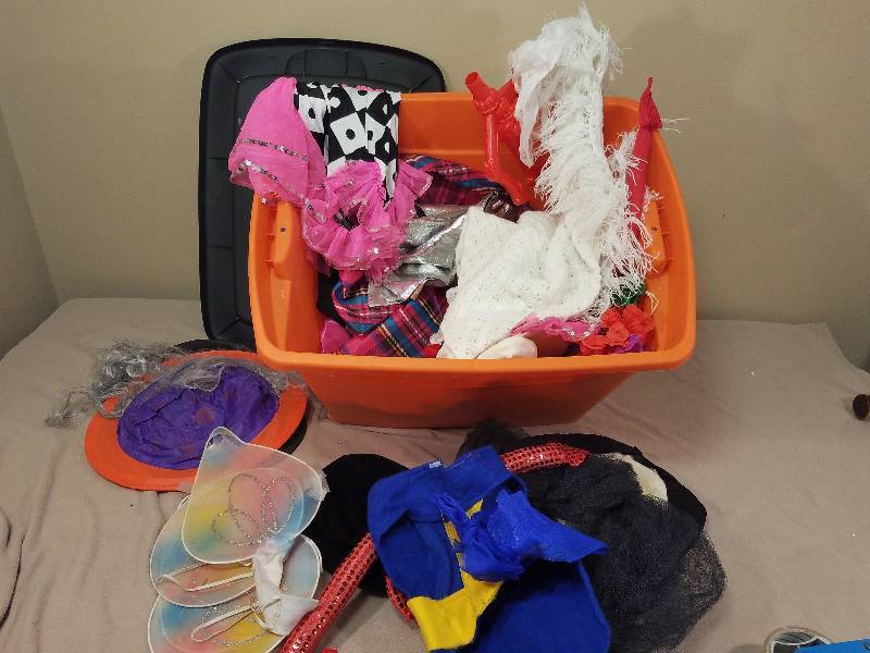 Tote of Misc. Halloween items
