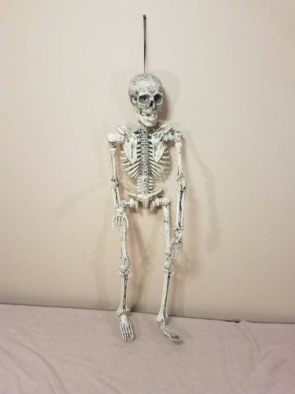 Skeleton