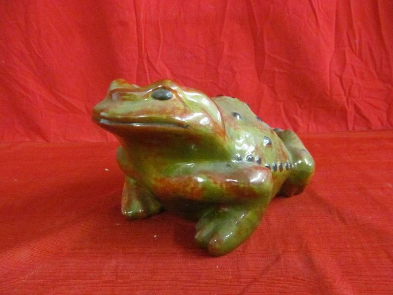 garden frog
