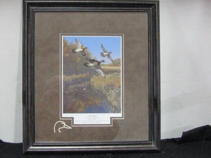 lot 39 image: DU Fall Flight by Scott Storm