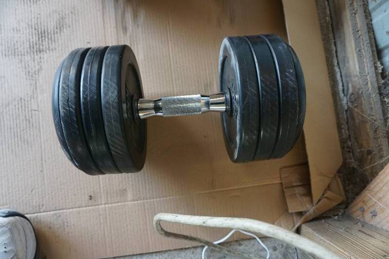 lot 8 image: Troy Brand Rubber Free Weight Dumbell 50 lbs