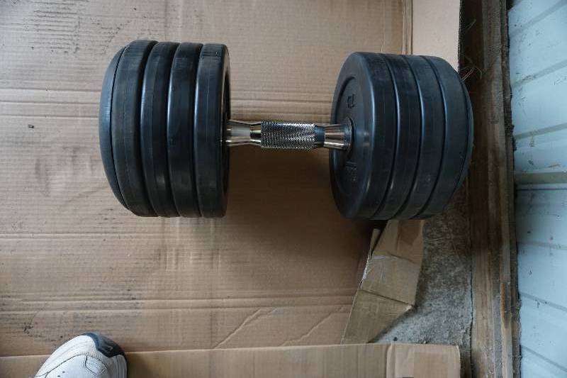 lot 14 image: Troy Brand Rubber Free Weight Dumbell - 70 lbs