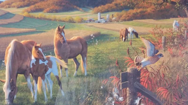 lot 16 image: Gods Country - Horses Signed & Numbered Print by Michael Sieve