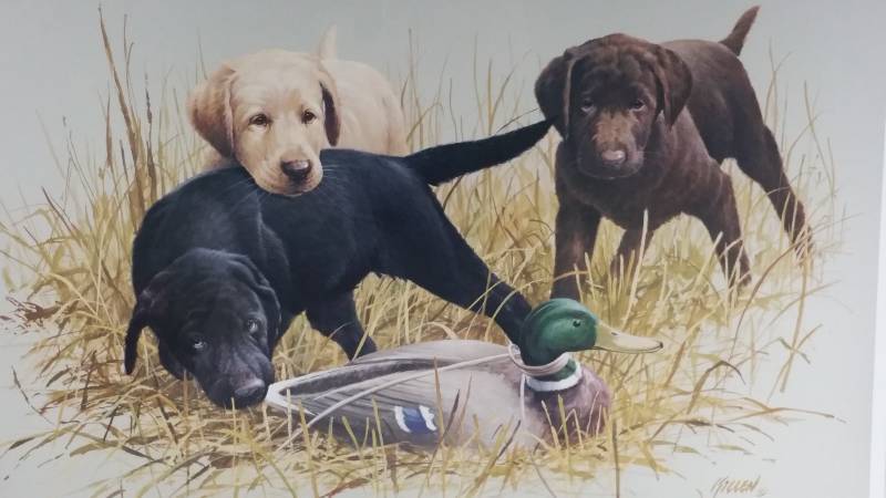 lot 20 image: Puppy Daze Signed & Numbered Print by Jim Killen