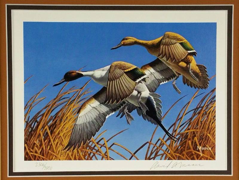 lot 29 image: 1979 Minnesota Duck Stamp Print by David Maass First Edition #23063800