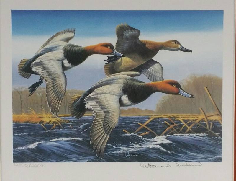 lot 33 image: 1987 Federal Duck Stamp Print by Arthur Anderson First Edition 1280520000