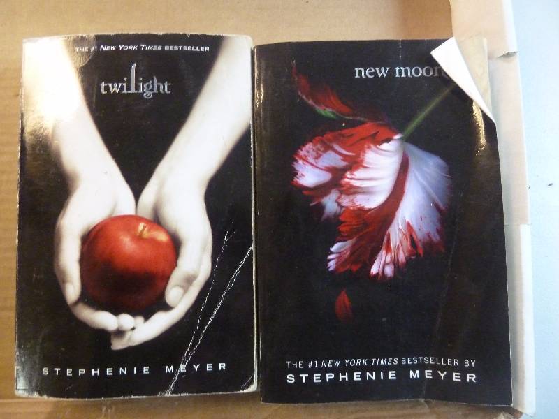 Twilight Books