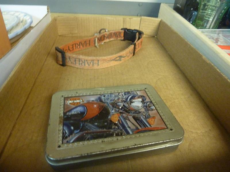 Harley Davidson Lot