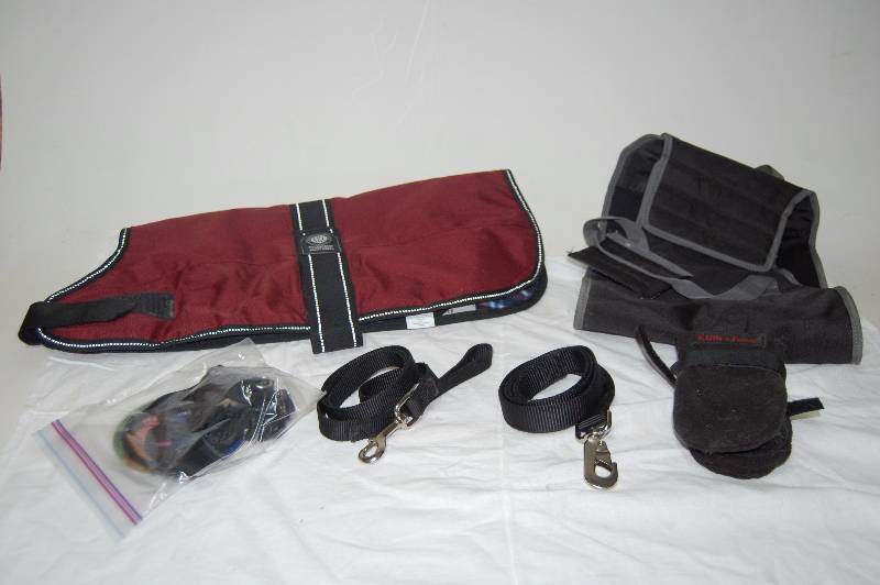 lot 19 image: Dog Accessories