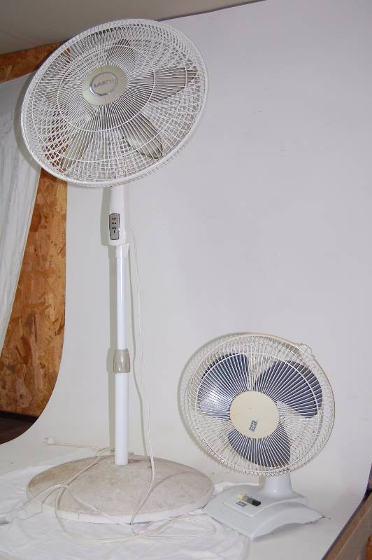 lot 287 image: Fans