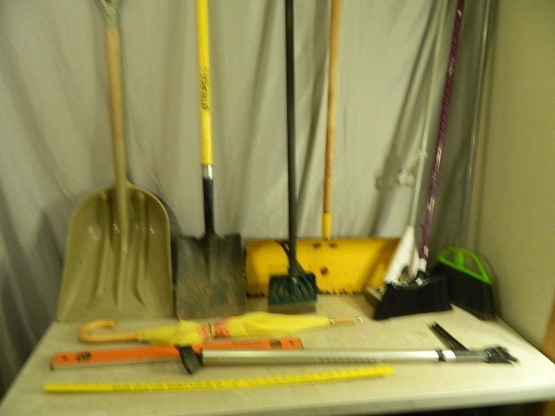 lot 42 image: Long Handle Tools