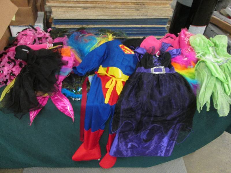Assorted DressUp Clothes and Costum...