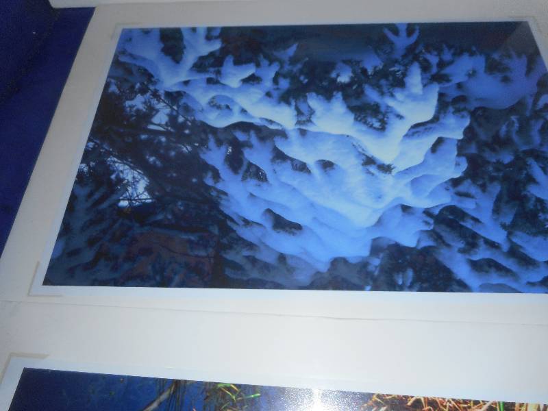 3 PRINTS ON FOAM BOARD