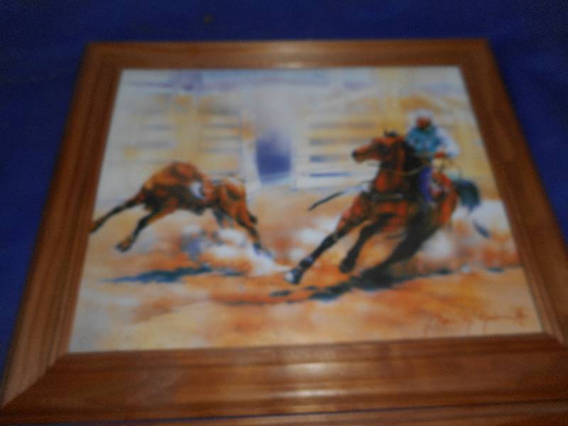 2 RODEO PICTURES