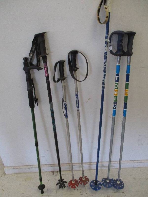 lot 65 image: Ski Poles and Walking Stick