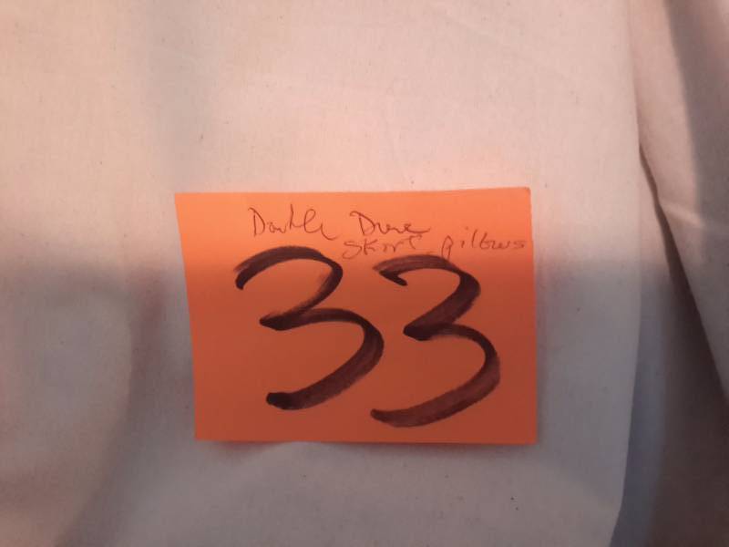 lot 33 image: Full Size Duve Cover, pillows, Bed Skirt, blanket