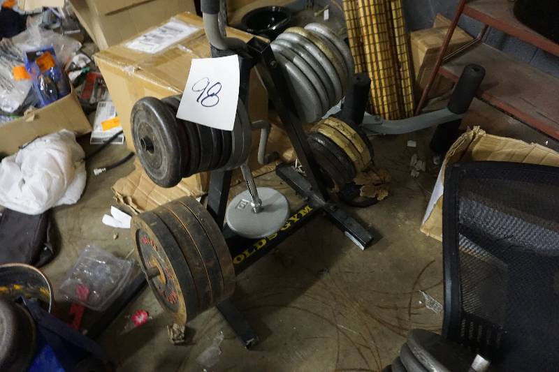 lot 98 image: Golds Gym Metal Weight Rack With Assorted Weight Disks