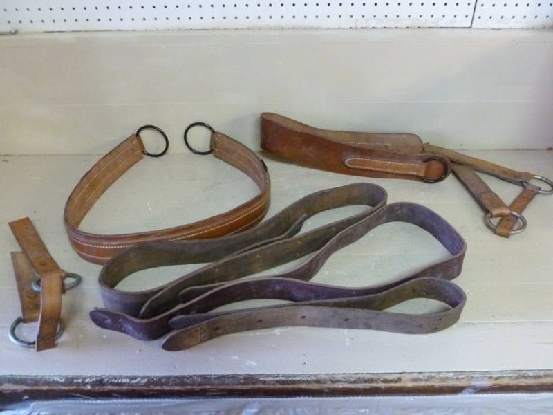 lot 24 image: Horse Equipment