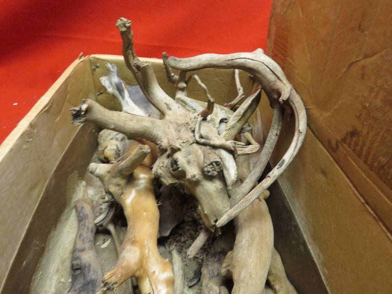 Drift Wood