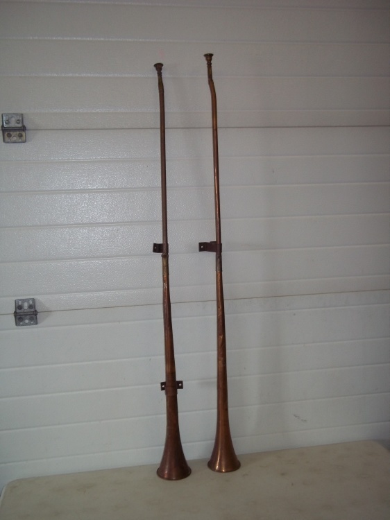 lot 3 image: Vintage horns 49 inches long