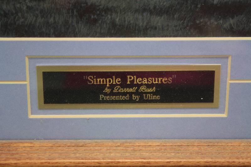 lot 31A image: Framed Print by Darrell Bush Simple Pleasure
