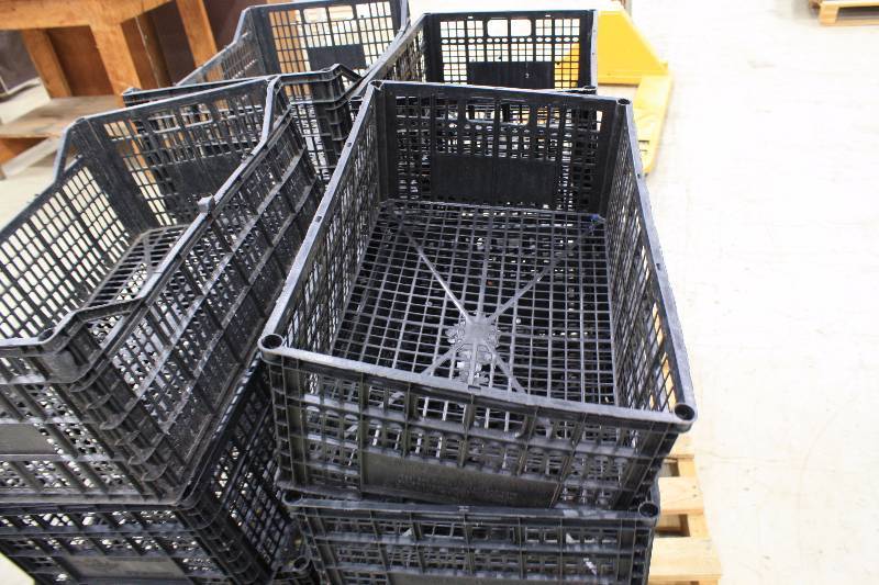 lot 69D image: 16 Plastic Crates