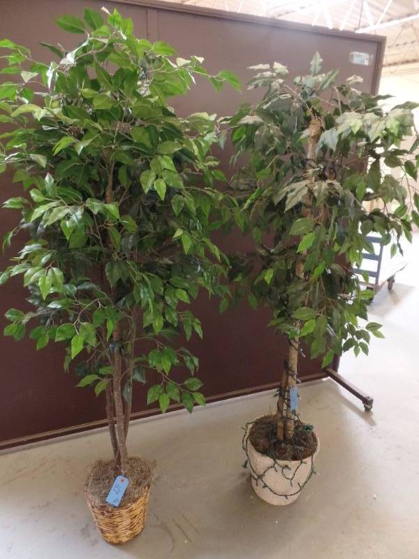 Artificial Ficus Trees
