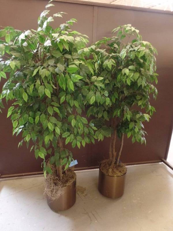 Artificial Ficus Trees