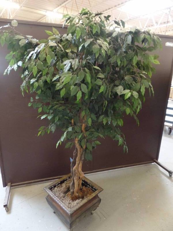 Artificial Ficus Tree
