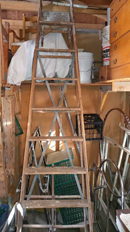 lot 163 image: 10ft Wooden Ladder