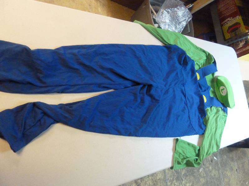 lot 589 image: Luigi Costume