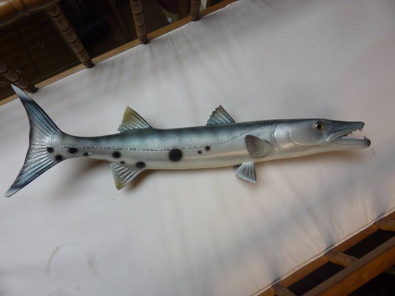 lot 604 image: Faux Taxidermy Barracuda