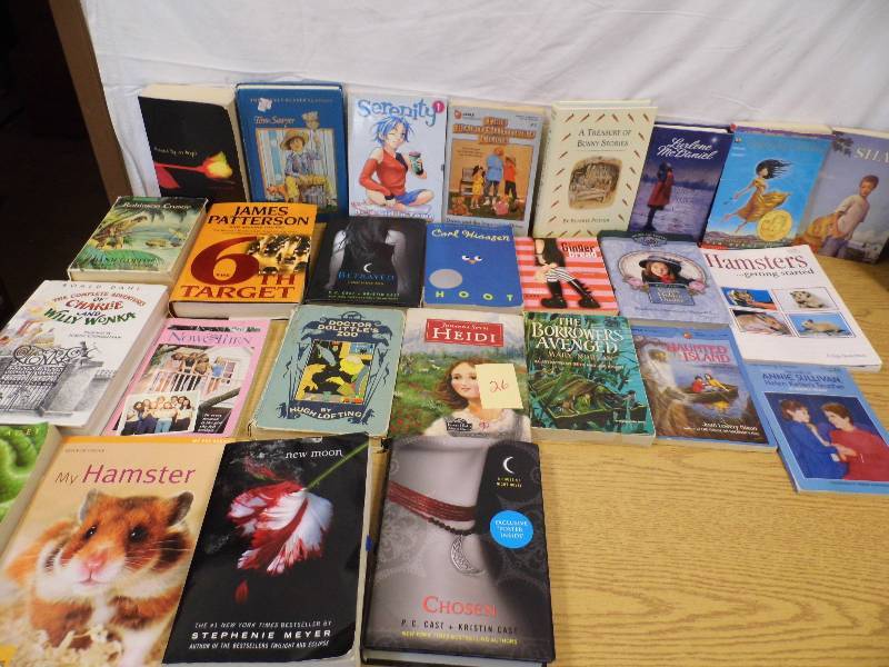 lot 26 image: Books WRolling Tote for Under Bed
