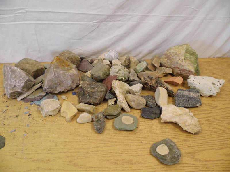 lot 34 image: Aquairum or Landscape Rocks