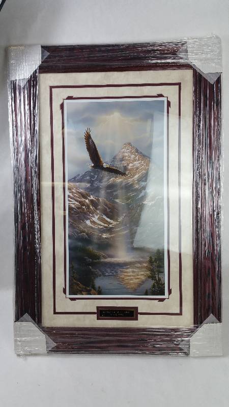 lot 10 image: Rich Kelly Reflections of Freedom Soaring Eagle Framed Print - 22.5 x 33.5