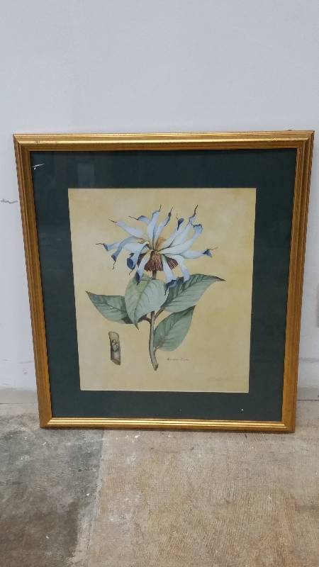 lot 14 image: Monarda Didyma Flower Print - Signed & Framed - 24 x 28
