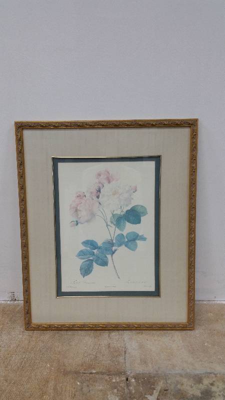 lot 17 image: Rosa Damascena - Rose Flower Print - Framed - 23.5 x 28.5