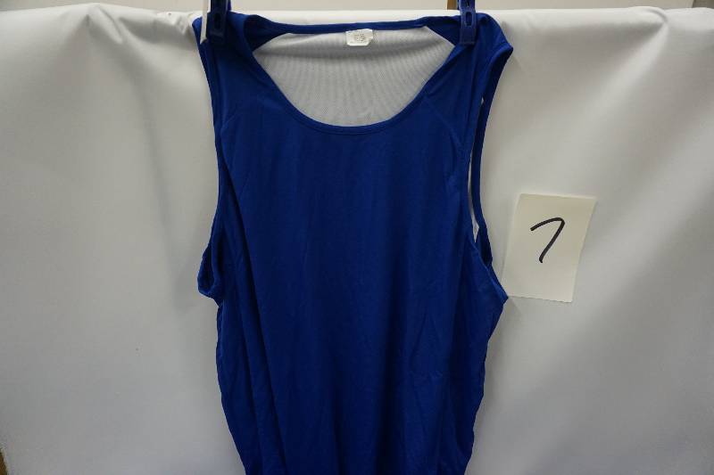 Champion Reversible BlueWhite Basketball Practice Jerseys