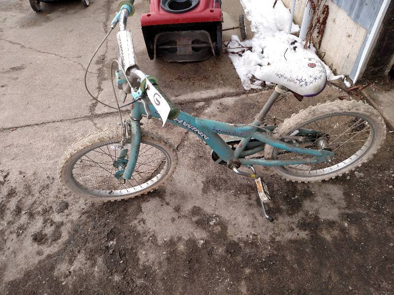 Schwinn starlet 20 inch bike online