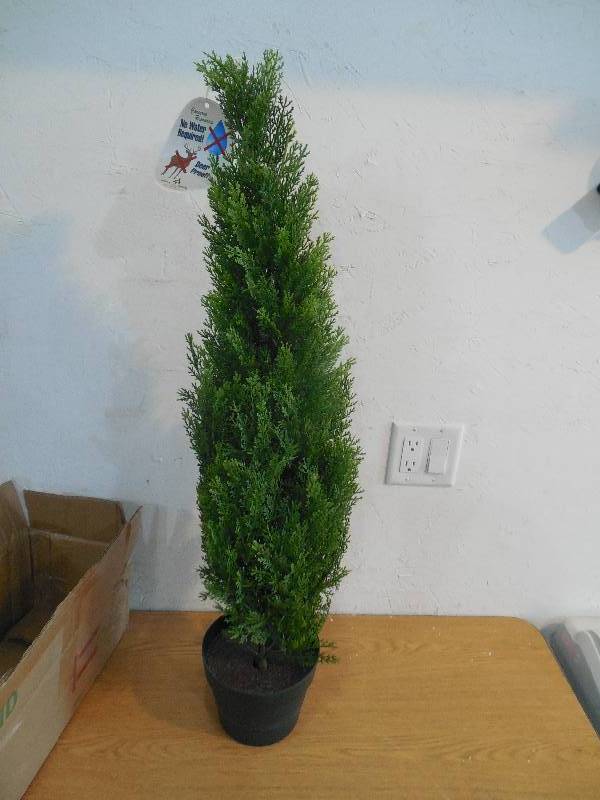 lot 62 image: National Tree Company 3 ft. Arborvitae Tree in Dark Green Round Growers Pot