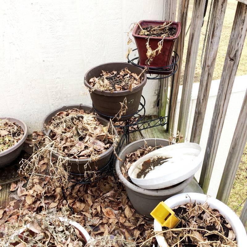 lot 29 image: Large Lot Garden Planter Pots & 3 Tier Shelf Wrought Iron Plant Stand