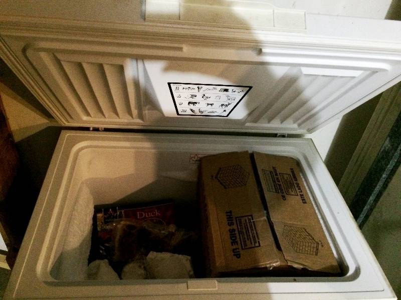 lot 136 image: Large Chest Freezer - Works Great - Very Quiet - Contents NOT included